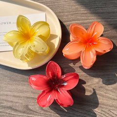 Boho Bloom Acrylic Hair Clips