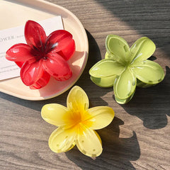 Boho Bloom Acrylic Hair Clips