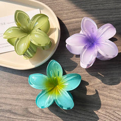 Boho Bloom Acrylic Hair Clips