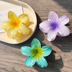 Boho Bloom Acrylic Hair Clips