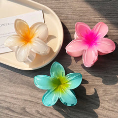 Boho Bloom Acrylic Hair Clips