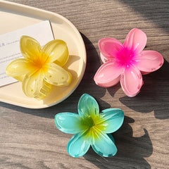 Boho Bloom Acrylic Hair Clips