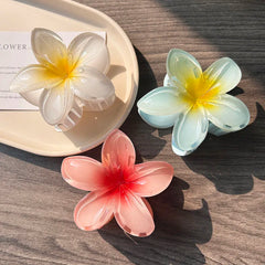 Boho Bloom Acrylic Hair Clips