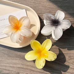 Boho Bloom Acrylic Hair Clips