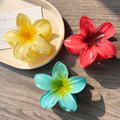 Boho Bloom Acrylic Hair Clips