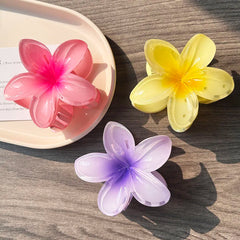 Boho Bloom Acrylic Hair Clips